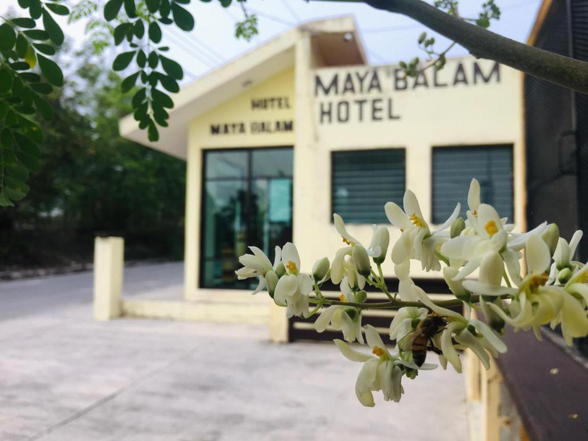 Hotel Maya Balam Xpujil Exterior foto